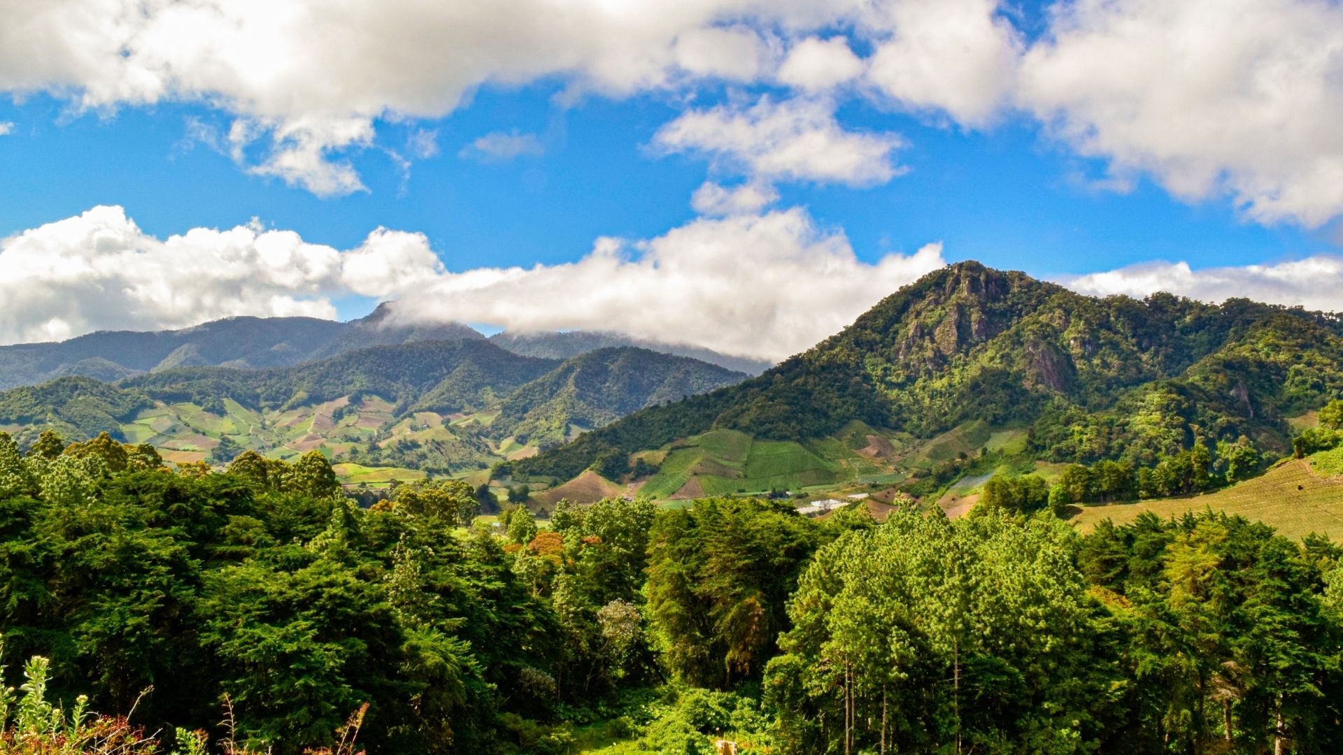 Montagne et nature du Panama